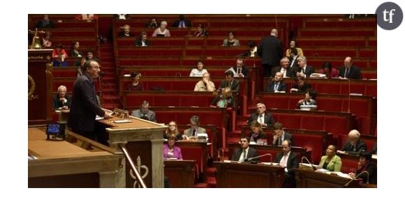 Mariage gay : le best of des répliques réac' de l'opposition à l'Assemblée