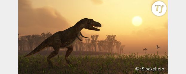 L’extinction des dinosaures provoquée par la chute d’un astéroïde