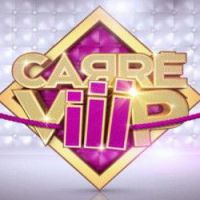 Carré Viiip: une nouvelle téléréalité ce soir sur TF1