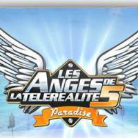 Anges 5 : Ayem et l'équipe du Mag dansent le Harlem Shake – vidéo NRj12 Replay