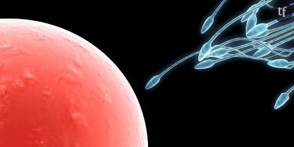 Fertilité : les spermatozoïdes en meilleure forme pendant l'hiver