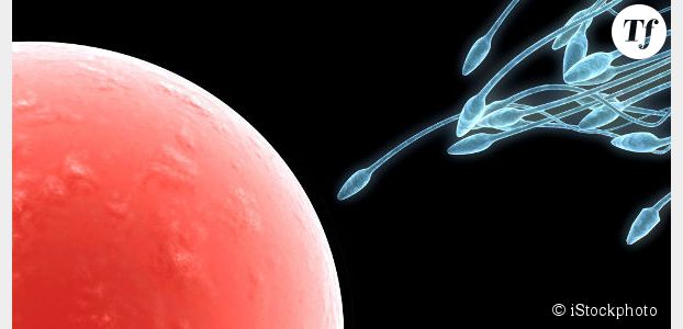 Fertilité : les spermatozoïdes en meilleure forme pendant l'hiver