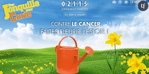 « Une jonquille pour Curie » : opération pour la recherche contre le cancer