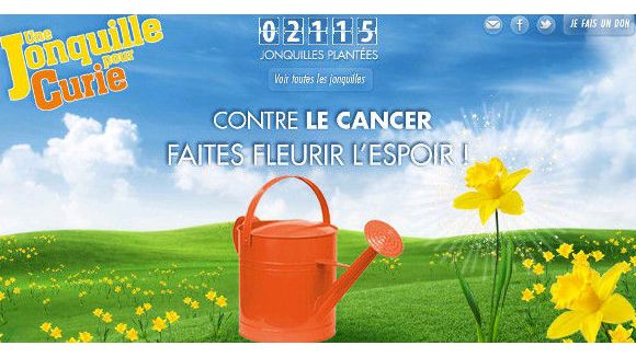  « Une jonquille pour Curie » : opération pour la recherche contre le cancer