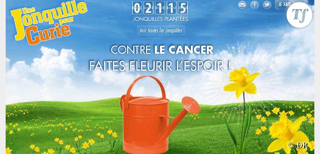  « Une jonquille pour Curie » : opération pour la recherche contre le cancer