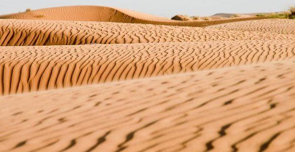 Rallye Aïcha des Gazelles 2013 : huit femmes affrontent les dunes