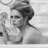 Brigitte Bardot a perdu son chat Rontonton