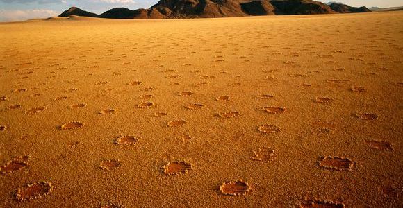 Les termites de sable responsables des cercles de fées ?