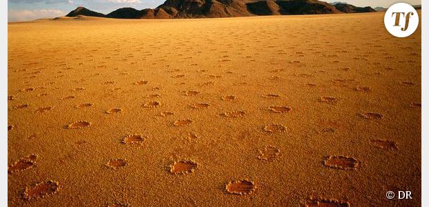 Les termites de sable responsables des cercles de fées ?
