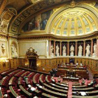 Mariage gay : le meilleur du pire des arguments entendus au Sénat - vidéo