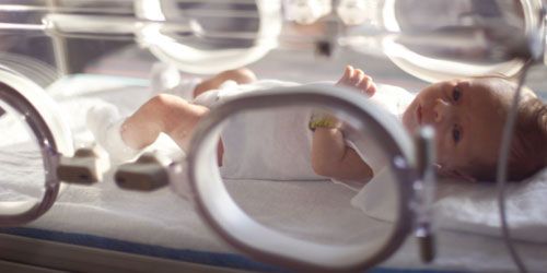 Une psy parle aux bébés prématurés pour leur donner "envie de vivre"