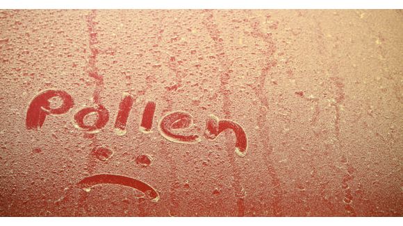 Allergie au pollen : les astuces au quotidien pour limiter les dégâts 