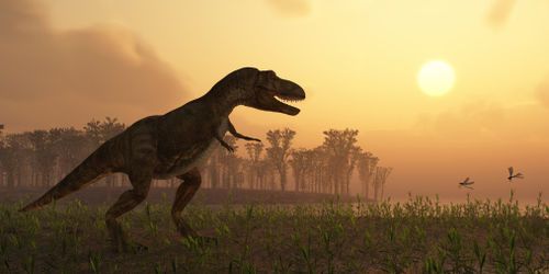 Dahalokely tokana : une nouvelle espèce de dinosaure à Madagascar