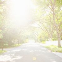 Vitamine D : du soleil pour prévenir les fibromes utérins