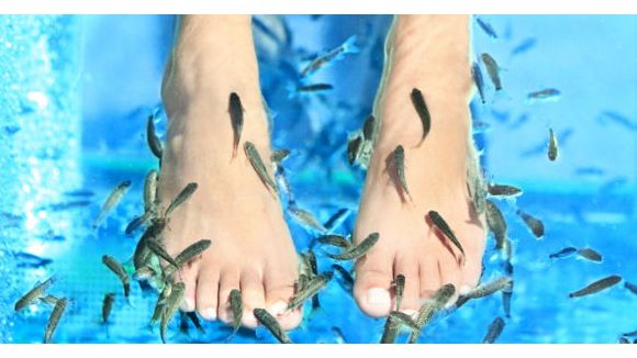 Fish pédicure : quels sont les risques ? 