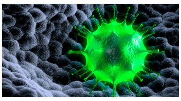 H041, l'hyperbactérie du sexe plus dangereuse que le SIDA ?