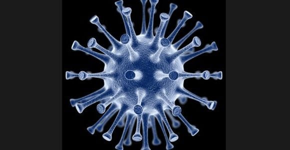 Coronavirus - NCoV : que sait-on de ce cousin du SRAS ?