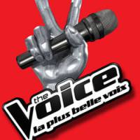 The Voice ou l’Eurovision : qu’allez-vous regarder ce soir ? 