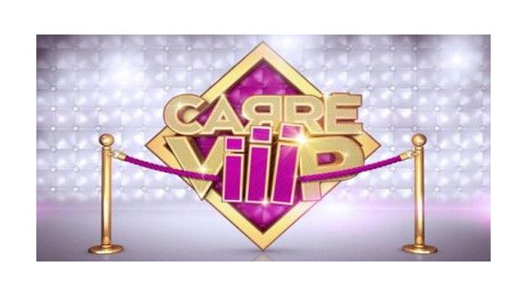 Carré Viiip, Secret Story: les émissions de téléréalité sont consternantes