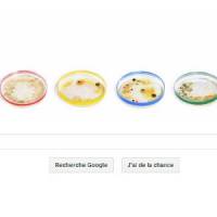 Google Doodle : un jeu de petit chimiste en l'honneur de Julius Petri 