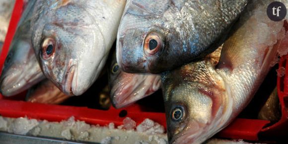 Farines animales : les poissons nourris au porc sont de retour