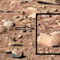 Curiosity a-t-il vu un rat sur la planète Mars ?