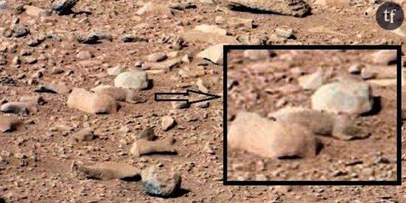 Curiosity a-t-il vu un rat sur la planète Mars ?