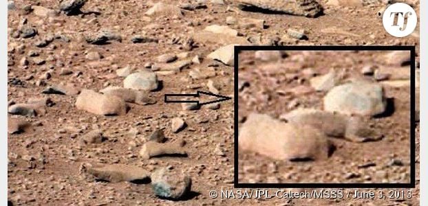 Curiosity a-t-il vu un rat sur la planète Mars ?