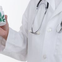 Autorisation des médicaments au cannabis : pour ou contre la légalisation ?