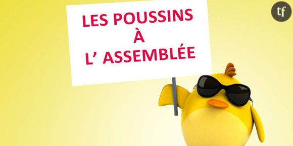 Auto-entrepreneurs : la réforme allégée du statut déçoit les poussins