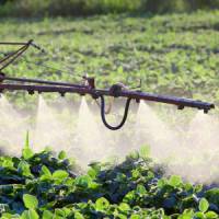 Les pesticides impliqués dans la maladie de Parkinson et certains cancers