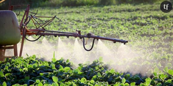 Les pesticides impliqués dans la maladie de Parkinson et certains cancers