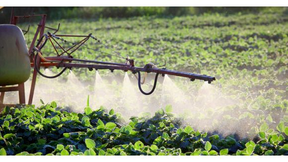 Les pesticides impliqués dans la maladie de Parkinson et certains cancers