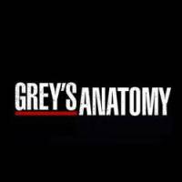 Grey’s Anatomy Saison 10 : quatre nouveaux personnages réguliers