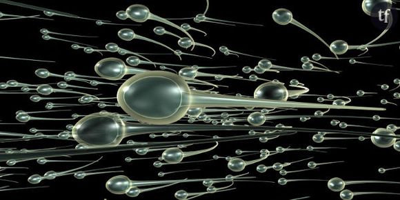 Le sperme et ses bienfaits sur la santé