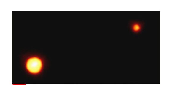 Lunes de Pluton : L'UAI a tranché ce sera Kerberos et Styx 