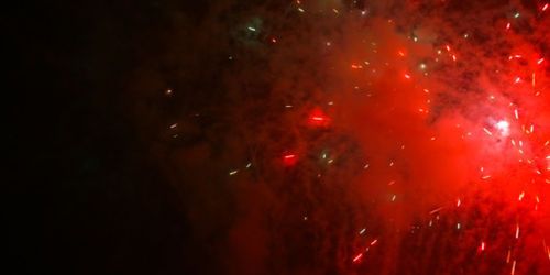 Fête Nationale en Belgique : défilé et feu d’artifice du 21 juillet (programme)