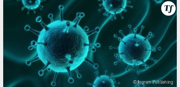 Deux virus géants découverts par des Français