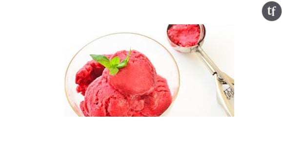 Comment faire des recettes de sorbets et glaces sans sorbetière ?