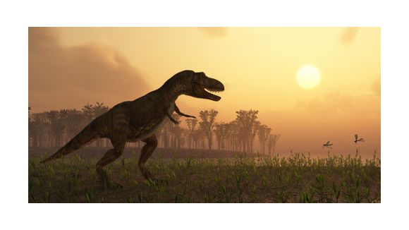 Un dinosaure « bec de canard » découvert au Mexique