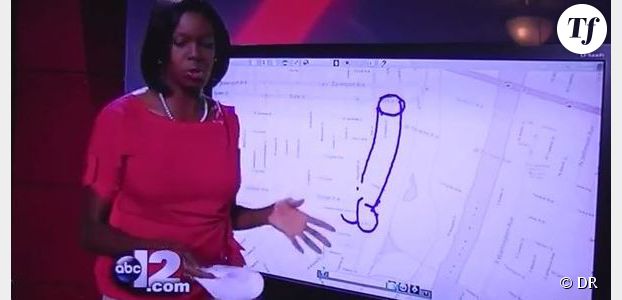 La journaliste Siobhan Riley dessine un pénis en direct à la TV