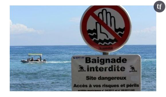 Attaques de requins : La Réunion lance sa riposte