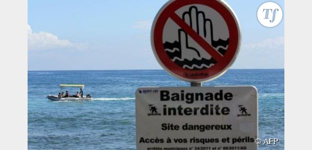 Attaques de requins : La Réunion lance sa riposte