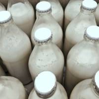 Lait contaminé en Chine : le PDG de Fonterra s'excuse