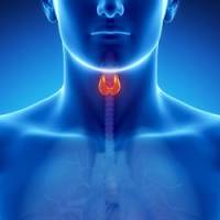 Thyroïde : faut-il craindre une pénurie de lévothyrox ?
