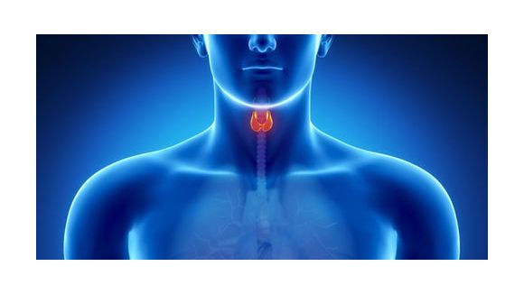 Thyroïde : faut-il craindre une pénurie de lévothyrox ?