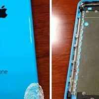 iPhone 6 / 5C : première photo de la version bleue avant la sortie ?