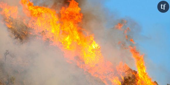 Incendies en Californie : menaces pour les réservoirs d’eau potable