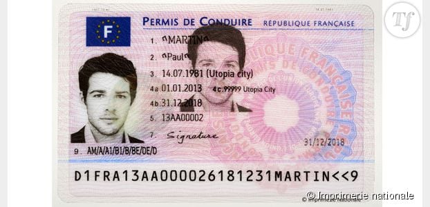 Nouveau permis de conduire : plus pratique, anti-fraude et toujours rose