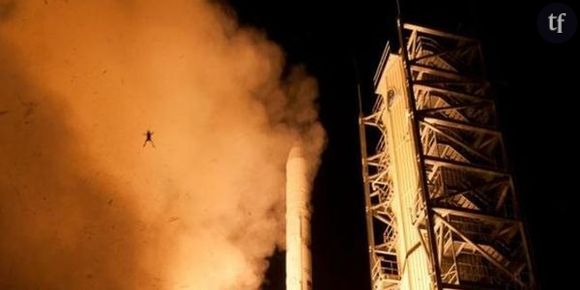 NASA : une grenouille dans l'espace (ou presque)